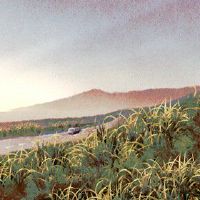 我可以在2022年的第一个月购买一辆新车吗?