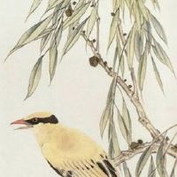 正月十一宜出行吗 民间贺添丁不出门