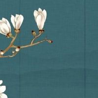 广州人过年都买什么年货 买年花广州盛行