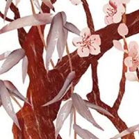 2022年正月十五元宵节出生女宝宝命理查询 勤勉随和