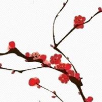 2022年正月十四出生的女宝宝五行缺什么 是什么命