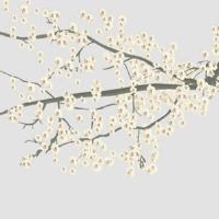 2022年5月23日生肖冲煞: 今日冲什么生肖