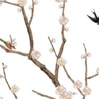 广州人过年为什么买花买金桔 金桔土壤的选择讲究