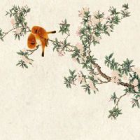 属兔人2022年运势详解 生肖兔2022年财神照拂