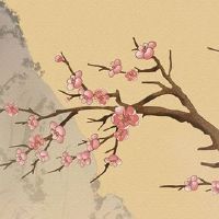 兔的正缘桃花是谁 生肖兔2022年桃花旺盛