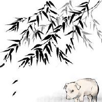 一名猪人在2022年的财富中详细说明了黄道带猪的吉祥姿势?