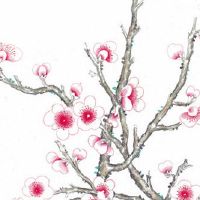 生肖冲煞情况一览:2022年5月30日冲什么生肖