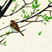 生肖对冲表:2022年5月27日属什么生肖冲什么属相