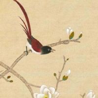 鼻子旁边的沟沟有痣好不好 鼻子旁边有痣的人桃花运旺盛