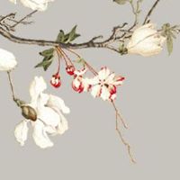 春节和生日同一天意味着什么 是喜庆大吉的命运