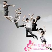 梦见一只鸟,在山林上飞行