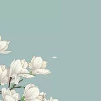 今日生肖冲煞查询:2022年6月1日儿童节冲什么属相