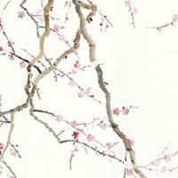 洗车店取名宝典2022 热门独特的汽车店铺起名