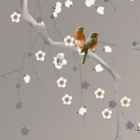 洗车店名字大全个性霸气的 高大上的店铺起名