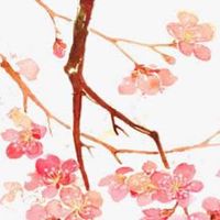 2022年正月初七可以领证吗 登记结婚证选上午