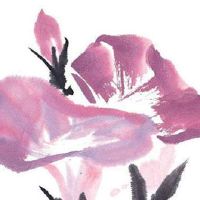 2022年大年初三适合出行吗 短期出行做好规划