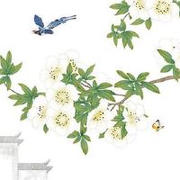 春节出去拜年 初一初二和初三都去谁家合适