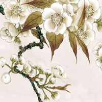 2022年大年初二喜神的方位在哪里 喜神位可旺运