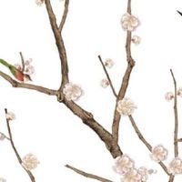 2022年生娃避开几月 不宜生正月四月五月虎