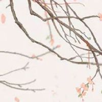 生肖鸡未来5年的运势发展 2022年详细运气解析