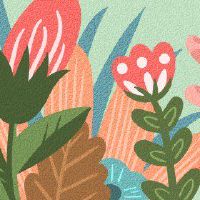 春节与春节春节传统文化有什么区别?