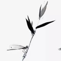 2022年立春交节时间 立春几点躲太岁结束