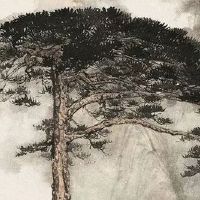 1998年属虎的最佳配偶 生肖虎婚姻搭配列举