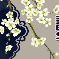 新年前夜2022裸狗的海关和禁忌不应该出去