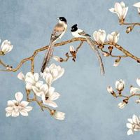 小时候破相之人必有大相 女孩破相命运好