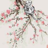 2022年11月,猴子,如何运输