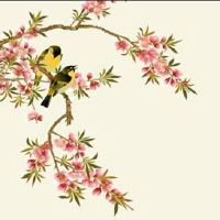 过年转运最好的方法 开门纳气接纳来年的福气