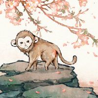 猴子猴子的运气和规划