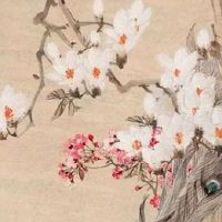 北方过年和南方过年风俗的差异 吃饺子北方必不可少