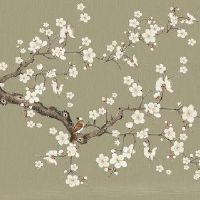 2022年7月4日生肖冲煞: 今日冲什么生肖