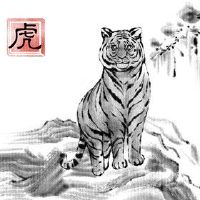 2022年水虎命五行缺什么 五行属水纳音金箔金