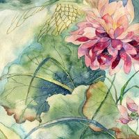 山东人过年送礼的讲究 过年给红包多少