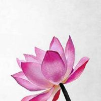 犯太岁戴什么水晶好 红水晶象征永恒不变的爱情