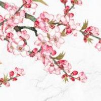 今日穿衣指南:2022年4月19日五行穿衣幸运色