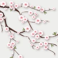 2022年5月6日适合乔迁搬家吗 这天是不是吉日