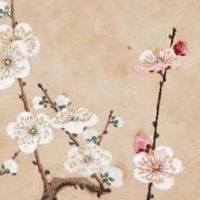 害太岁为什么不能供佛 戴转运珠使运势平稳