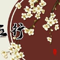 当女孩,这个女孩,未来的五行,未来的命运怎么样?