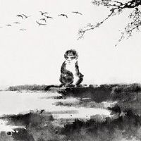 属猪人2022年三月份有破财的风险吗 谨慎小心伺机而动