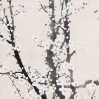 八字土多有好命的吗 此命为人处事值得信赖