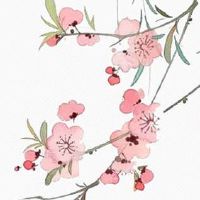 去寺庙化太岁会有什么反作用吗 穿红衣破除霉运