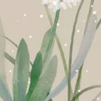 害太岁求的是什么符 此情况上三炷香化解凶运