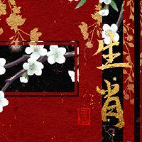 三大沉默寡言但情商高的生肖 生肖蛇很强的观察力