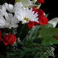 吉日查询:2022年5月19日是结婚好日子吗