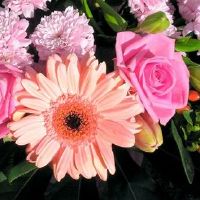 2022年5月20日宜结婚嫁娶吗 这天是黄道日子么