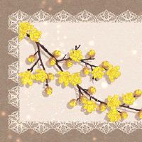 开放饮料的名称是什么?