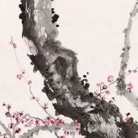 过年期间可以提亲吗 传统定亲需纳彩礼